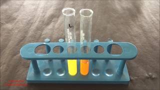 Phytochemical Test for Flavonoid  Flavonoid Identification Test  Flavonoid Test  ENGLISH [upl. by Philina]