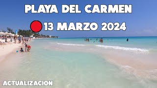 PLAYA DEL CARMEN HOY🔴13 MARZO 2024  PLAYA MAMITAS SIN SARGAZO [upl. by Pollux]