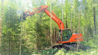 DOOSAN DX180LC ja KX350 energialeimikossa🌳🌲🌳 [upl. by Pineda]