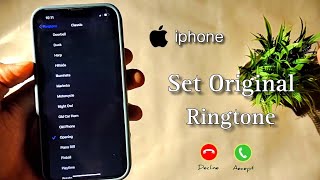 How to set original iPhone ringtone in iPhone  iPhone Opening Ringtone Not Showing [upl. by Mcmaster812]