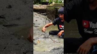 Dapat kepiting besar di dalam sarang mujair [upl. by Toms216]