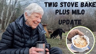 November CampingBushBox Bake and Milo Update [upl. by Shalna]