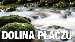 Wzruszające  Biblijna Dolina Płaczu Psalm 846  Derek Prince [upl. by Dawna]