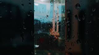 Mansoon Rain🌧️ Ninade nenapu hassan mansoon rain kanndasongs [upl. by Anoo923]