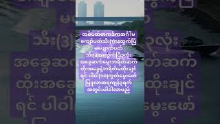 အကြိုက်တူရင်ထိုး အကြိုက်မတူရင်‌တော့ ဒိုးပေါ့ [upl. by True]