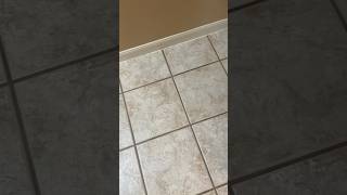 My grout is tan and clean I promise 😂 deepclean groutcleaning cleaning cleantok cleaningvideo [upl. by Happ]