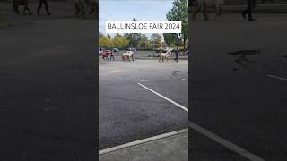 Ballinasloe Fair 2024  Ballinasloe Horse 🐎 Fair 2024 [upl. by Natsud]