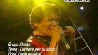 Cumbia Sureña  Grupo Alaska  Luchare por tu amor [upl. by Harrod]