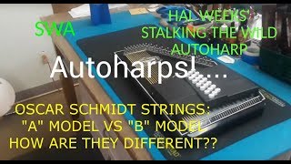 Autoharp Strings Schmidt A model vs B model SWA [upl. by Cheri]