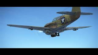 P40E4kVRDive BombingCinematicEastern FrontMultiPlayerIL2Battle of Stalingrad [upl. by Xonel255]