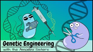 Genetic Engineering [upl. by Nwahser]