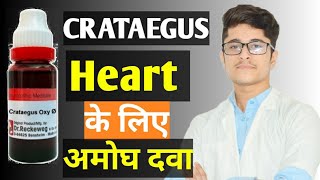 Crataegus Q Homoeopathic Medicine benefits in Hindi [upl. by Tybie]