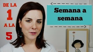 PRIMEROS SINTOMAS de EMBARAZO  PRIMER MES  SEMANAS 15 [upl. by Notsek68]