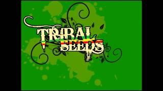 Tribal Seeds  Youth Rebellion [upl. by Lillis]