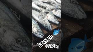 Konam 650kg call 7036969207 funny trending trending foryou foryourpage viralvideo [upl. by Finny]