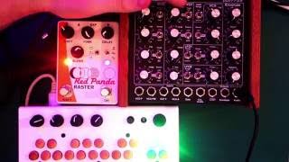 Red Panda Raster Delay Demo Video with synths [upl. by Datnow]