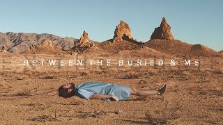 Between the Buried and Me  Memory Palace OFFICIAL [upl. by Ewolram858]