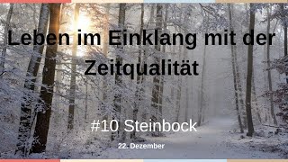 Leben im Einklang mit der Zeitqualität Teil 10 Steinbock [upl. by Pennie]