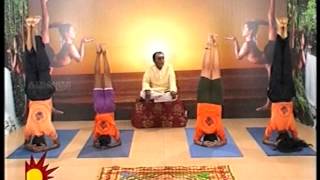 Dr Asana Andiappans Kalaignar TV Yoga Program 04 05 2012 Sirsasana [upl. by Lyndy763]