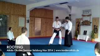 Rooting in Aikido Martial Arts Qigong engl subs  Aikido Okuden Seminar Salzburg 2014 [upl. by Middlesworth87]