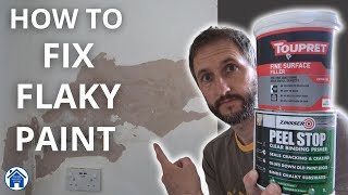 How to FIX FLAKY PAINT Peeling paint DIY repair How to use fine surface filler Flaking paint fix [upl. by Eeraj]