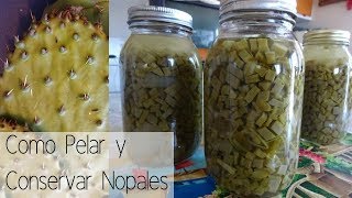 Como Pelar y Preservar Nopales [upl. by Akcinat]