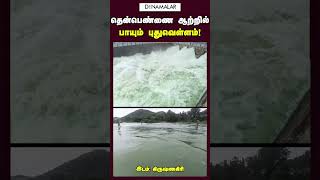 தென்பெண்ணை ஆற்றில் பாயும் புதுவெள்ளம் [upl. by Ahsieat]