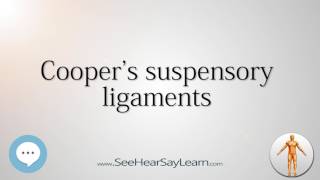 Coopers suspensory ligaments Anatomy Named After People 🔊 [upl. by Doownyl]