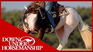 Clinton Anderson Titan A Legend in the Making Series  Downunder Horsemanship [upl. by Dleifxam]