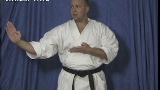 Learn Karate At Home Shuto Uke Knife hand Block [upl. by Pence892]