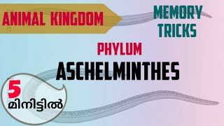 Phylum Aschelminthes easy learning tricksAnimal kingdom NEET plus one preparation [upl. by Odrareve]