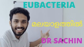 eubacteria class 11  malayalam  chapter 2 biological classification NEET malayalam [upl. by Monty]