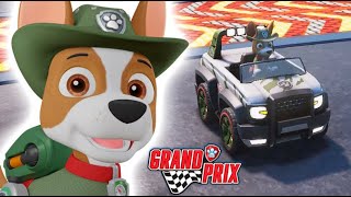 PAW Patrol Grand Prix  Pup Treat Arena  Chickaletta Roundabound  Tracker [upl. by Danice210]