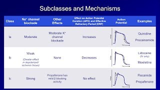 Antiarrhythmics Lesson 2  Sodium Channel Blockers [upl. by Ahselat]