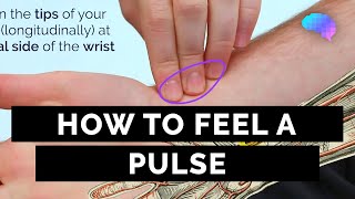 How to Feel a Pulse  Radial amp Brachial Pulses  OSCE Guide  UKMLA  CPSA [upl. by Rives893]