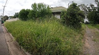 NEGLECTED HOUSE now LOOKS INCREDIBLE  Yard clean up [upl. by Carilyn]