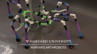 Harvard Arthrobots [upl. by Zelten]