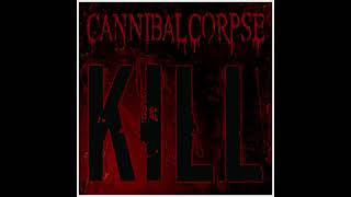 Cannibal Corpse  Make Them Suffer instrumental  karaoke track [upl. by Celina14]