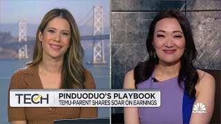 Pinduoduos playbook Temuparent shares soar on earnings [upl. by Damien800]