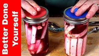 Fermenting Pink Turnips with the Masontops Fermentation Kit [upl. by Isawk]