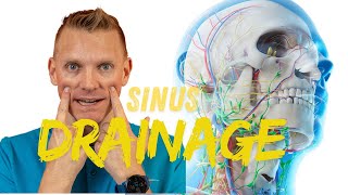 Warning This Sinus Drainage Technique Could Change Your Life [upl. by Rede]