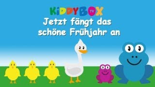 Jetzt fängt das schöne Frühjahr an  Kinderlieder zum Mitsingen  KIDDYBOXTV [upl. by Rats80]