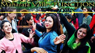 Beautiful Himachali pahari Nati 2018 1080p [upl. by Cavanagh455]