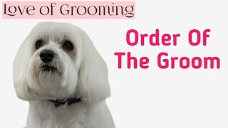 Step by step Dog Grooming  Order of the Groom on a Well Maintained Dog [upl. by Valleau]