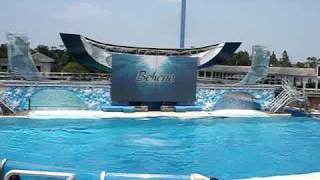 SeaWorld San Diego Believe The Spectacular Shamu Show  p1 [upl. by Hoon154]