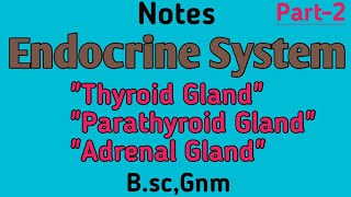 Notes Endocrine SystemquotThyroid Parathyroid Adrenal Glandquot Part2BscGnm [upl. by Teriann]