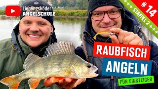 So wirst du Angelprofi 🔥🎣🐟🥳🚀🙌 [upl. by Ydne]