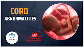 ABNORMALITIES OF UMBILICAL CORD  OBG  BSc NURSING 4TH YEAR [upl. by Rasaec]