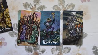 Magical Creatures Tarot unboxing playingwithpairs [upl. by Alica769]