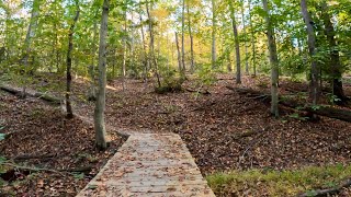 Hiking Dogue Trail and Meadow View Trail at Mason Neck State Park VA [upl. by Allenad]